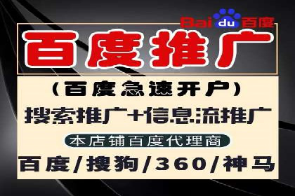 SEM广告创意与执行：成功案例分享